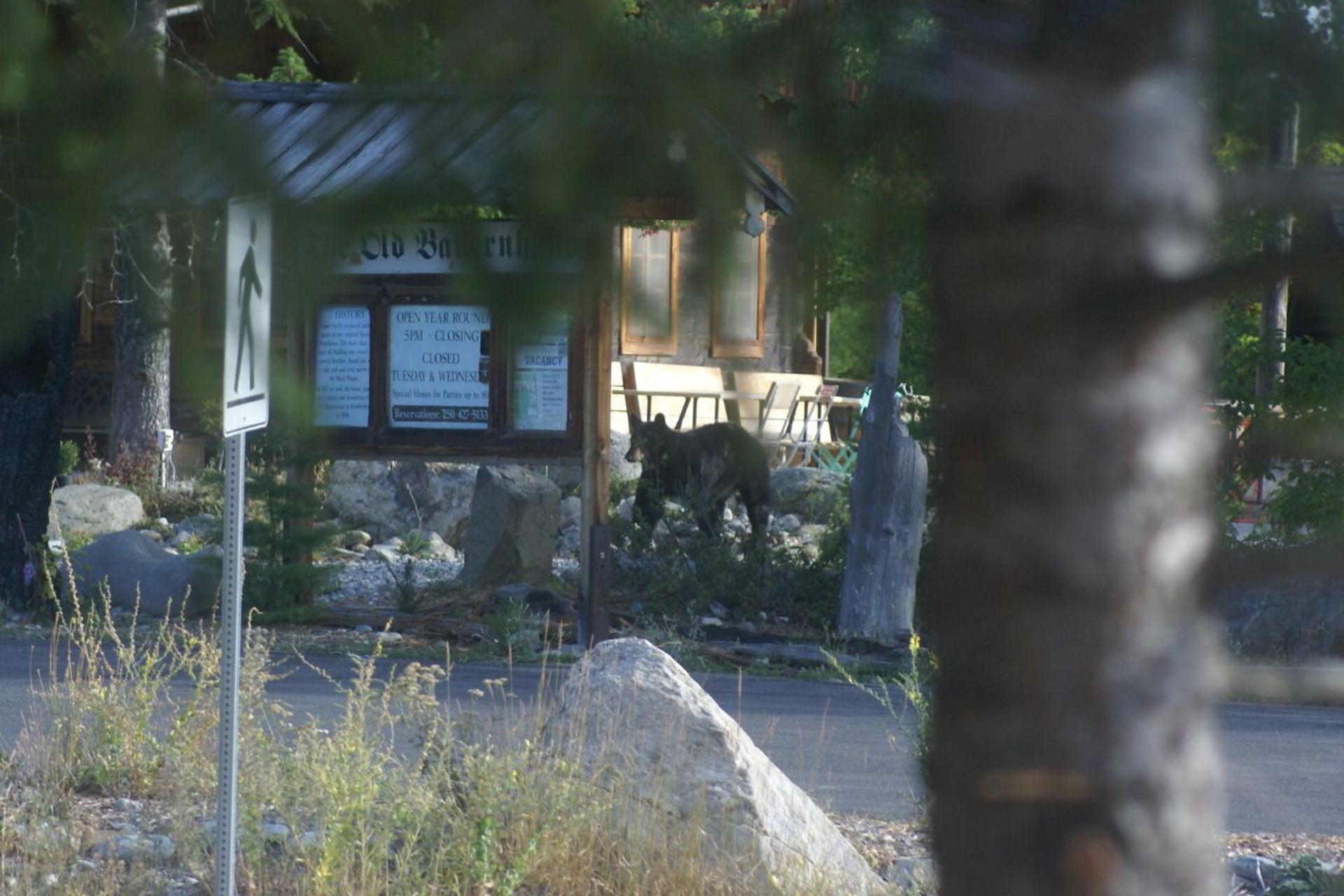 Alpenglow Bed And Breakfast Kimberley Exterior foto